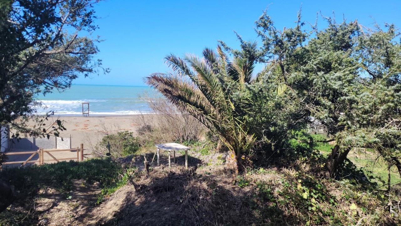 Apartament Miledy Monolocale Direttamente Sul Mare Marina di Castagneto Carducci Zewnętrze zdjęcie
