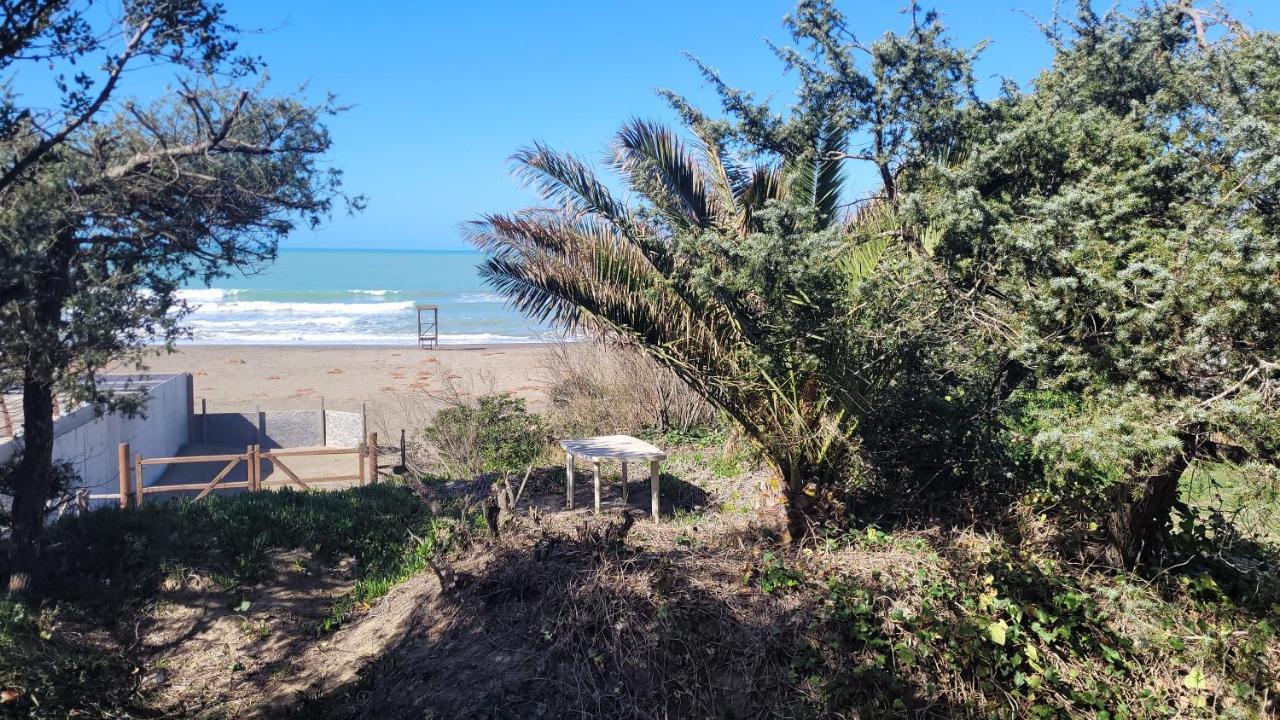 Apartament Miledy Monolocale Direttamente Sul Mare Marina di Castagneto Carducci Zewnętrze zdjęcie