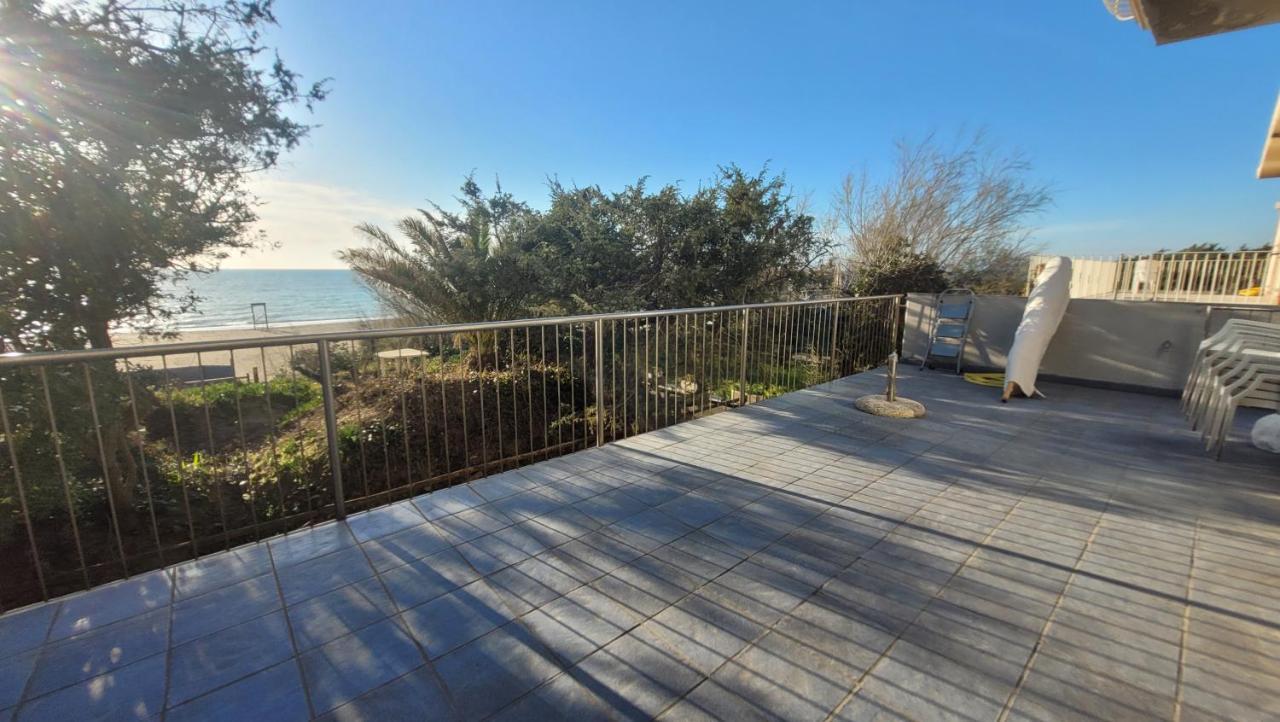 Apartament Miledy Monolocale Direttamente Sul Mare Marina di Castagneto Carducci Zewnętrze zdjęcie